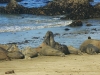 California 057.jpg